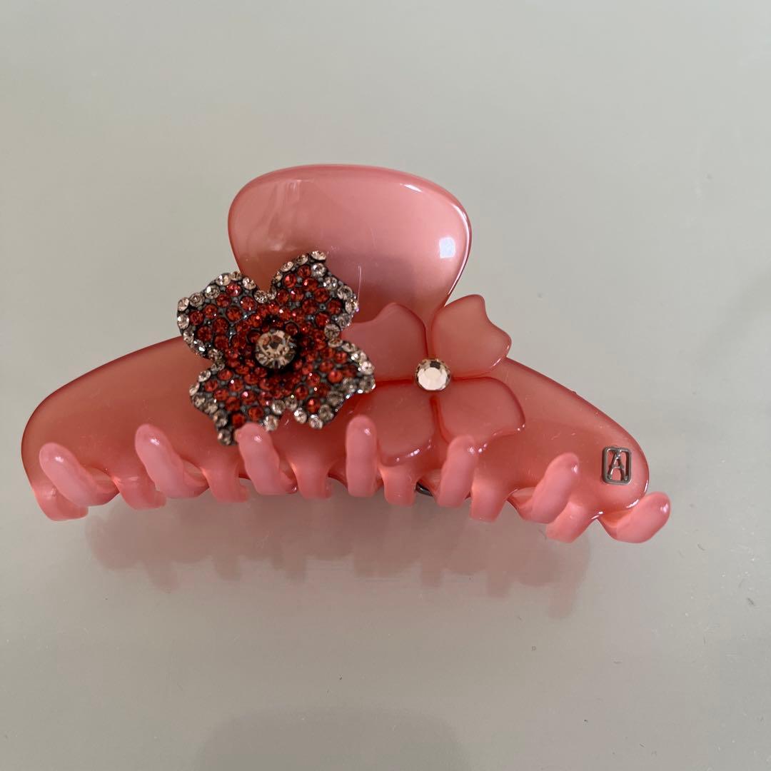 Alexandre de Paris アレキサンドルドゥパリ　クリップ