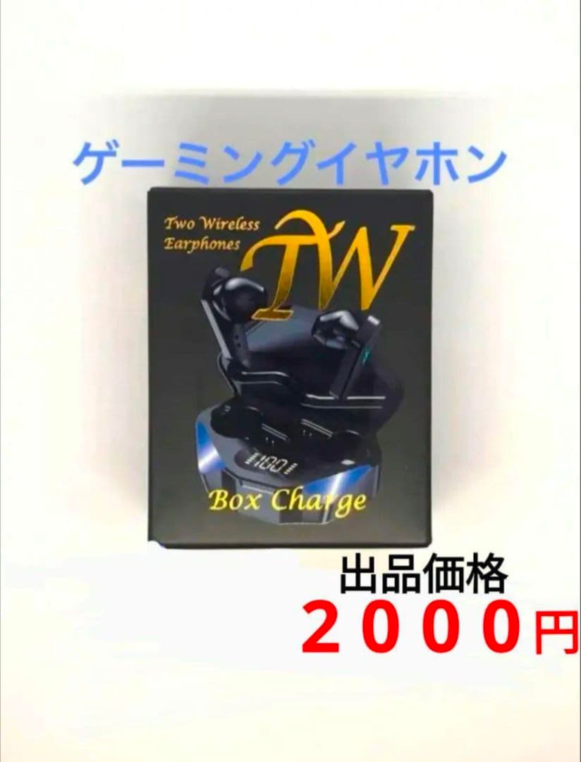 Two Wireless Earphones TW ワイヤレスイヤホン