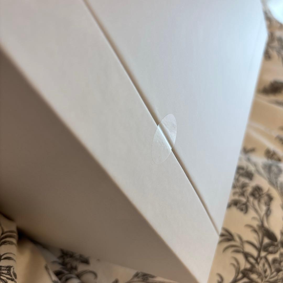 【新品未使用】 SALONIA サロニア ピュアブライトスチーマー グレー