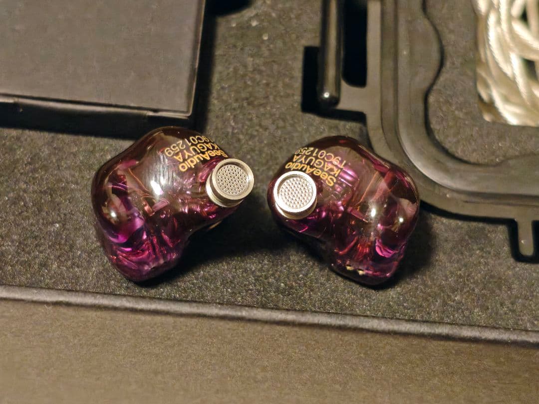 SeeAudio KAGUYA 4BA + 4EST イヤホン　延長保証あり