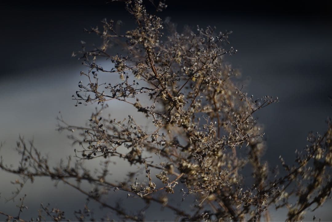 ニコンミラーレンズ500 F8