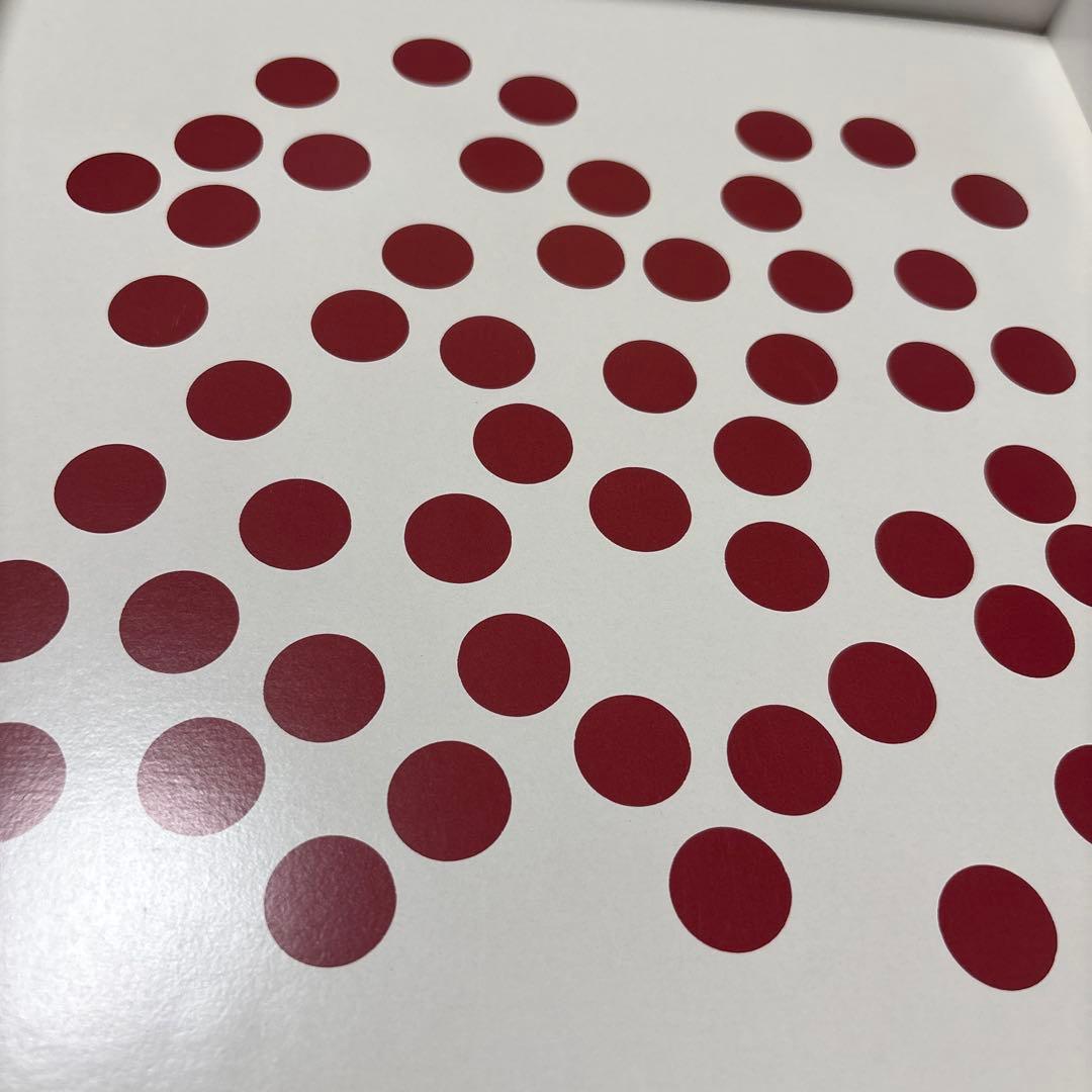 J*n様 11/19.31am◎ ドーマン博士のドッツカード　 How To T