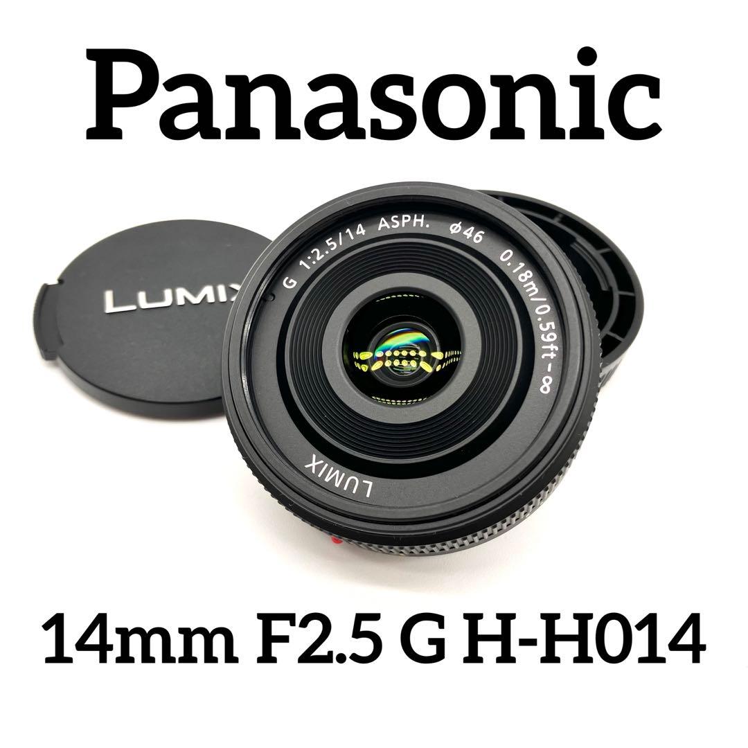 Panasonic 14mm F2.5 G H-H014 ブラック