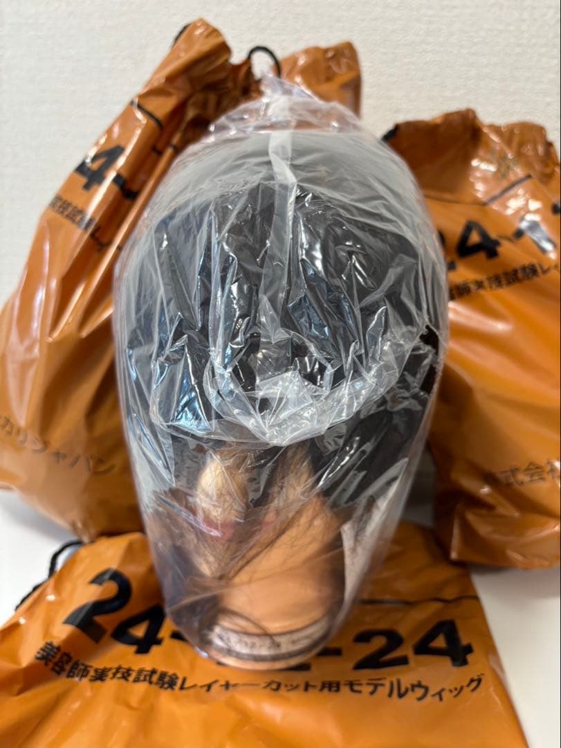 4個 美容師国家試験適合 ユーカリジャパン　24-12-24 カットウィッグ