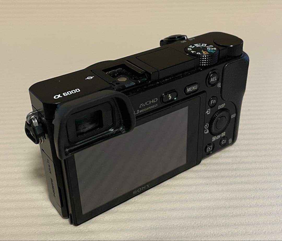 SONY α6000 ILCE-6000 動作確認済【総ショット数1557】
