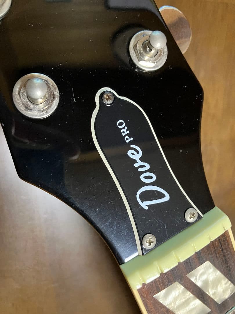 Epiphone Dove PRO エレアコ