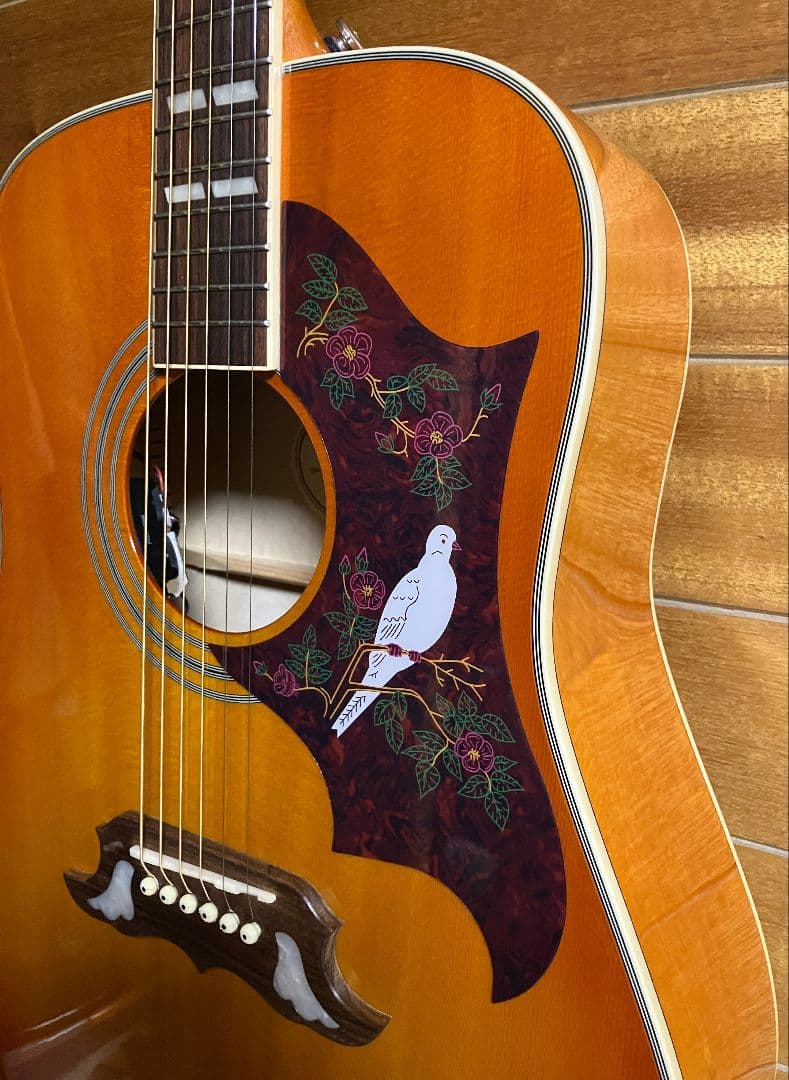 Epiphone Dove PRO エレアコ