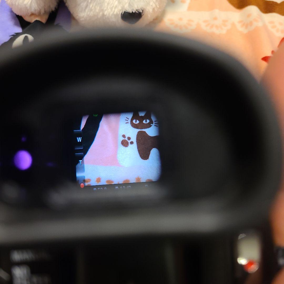 SONY FDR-AX100 4K ソニー ビデオカメラ