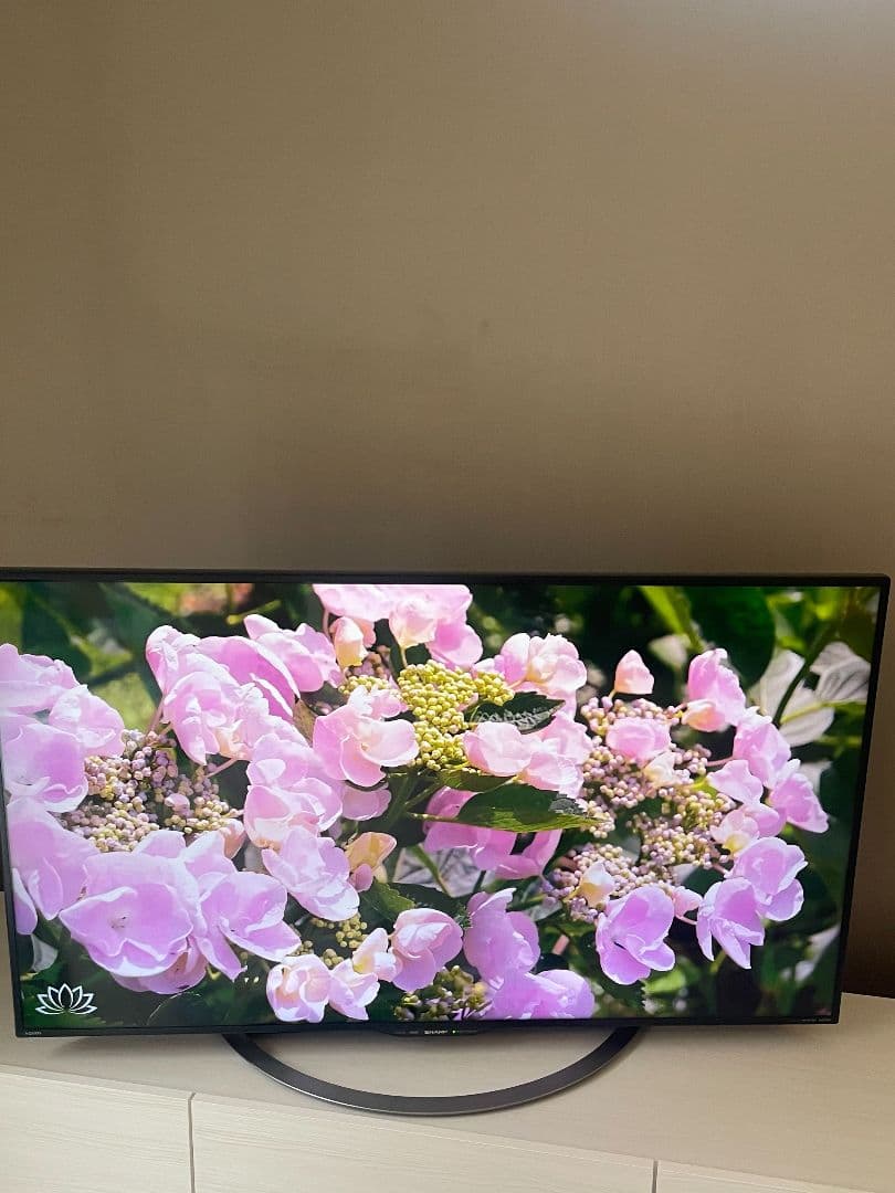 専用シャープ 4K 液晶テレビ 50インチ