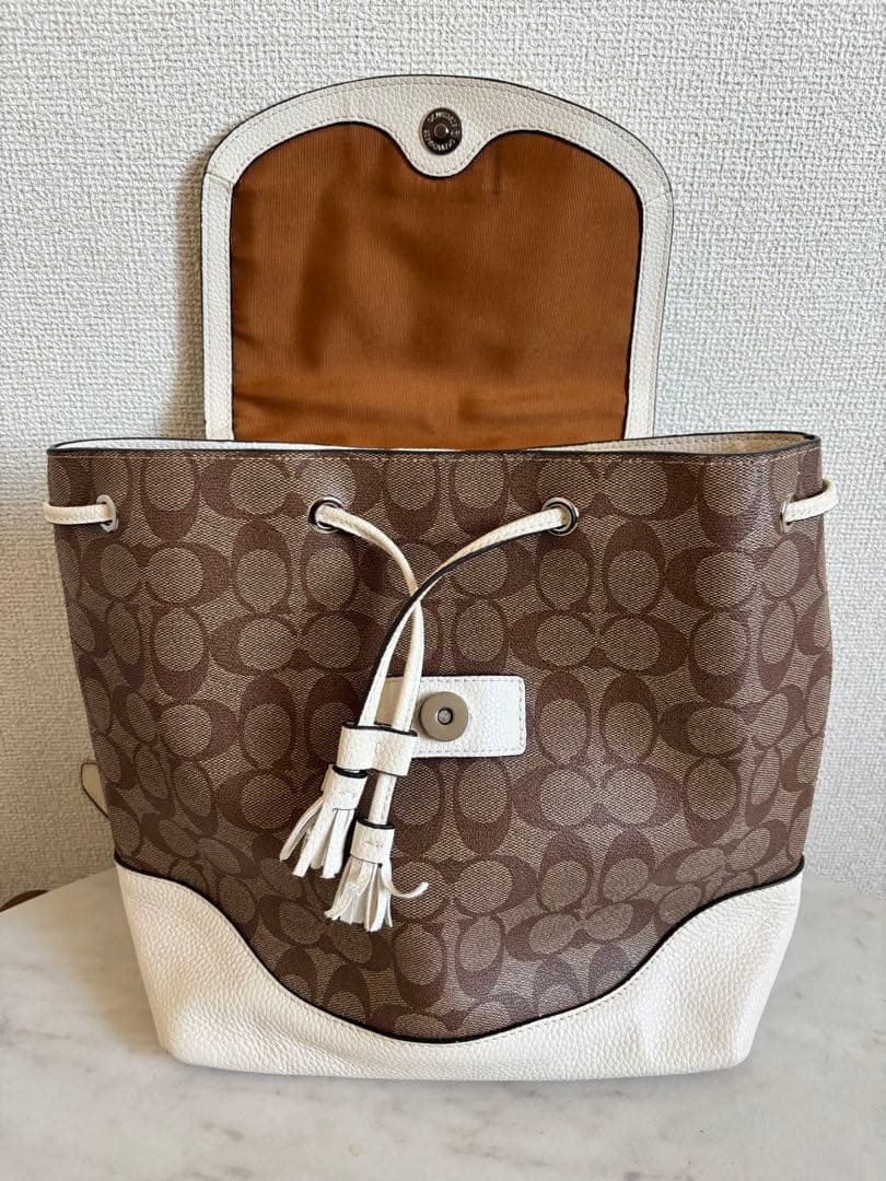 COACH ディズニーコラボ ダンボデザイン リュック