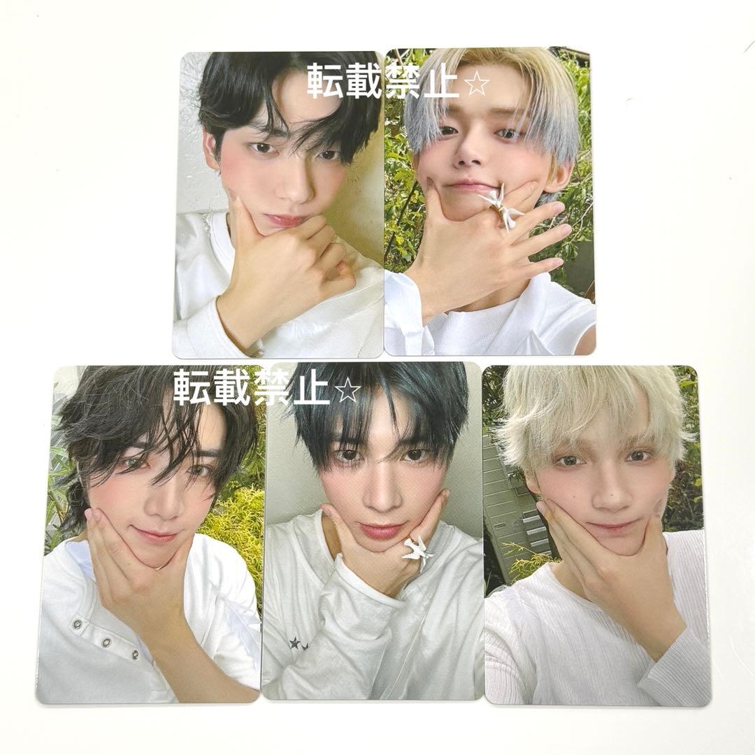 txt popup ポップアップ　starkissed ラントレ　セルカ　5種