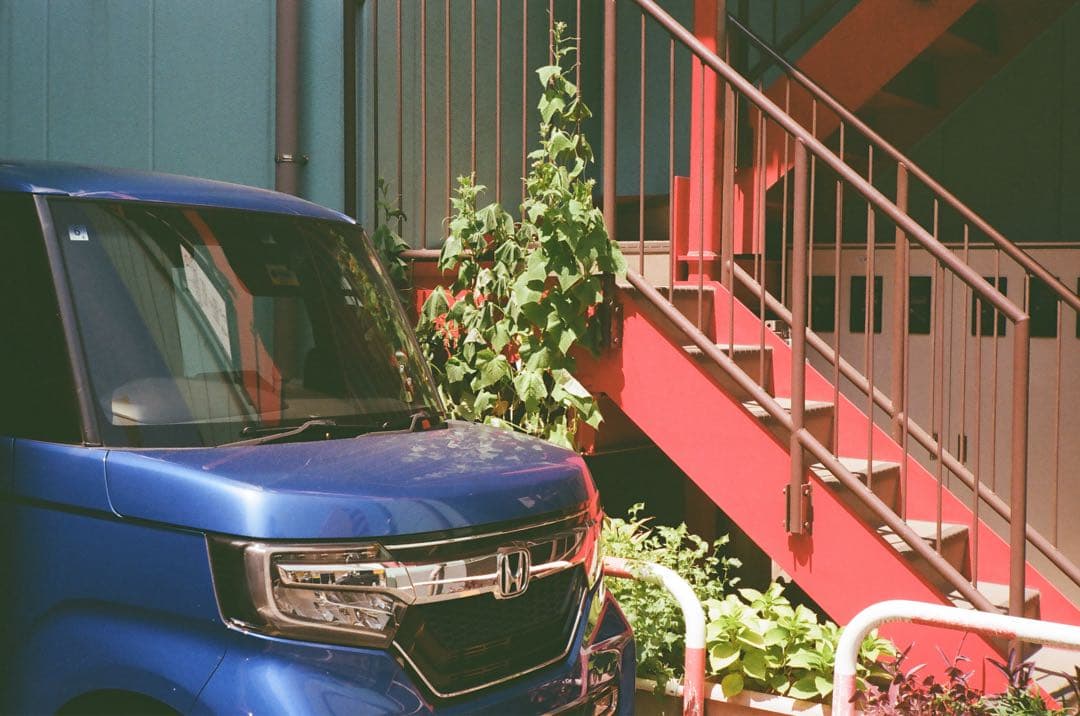 Leitz Minolta CL フィルムカメラ (Film Tested)