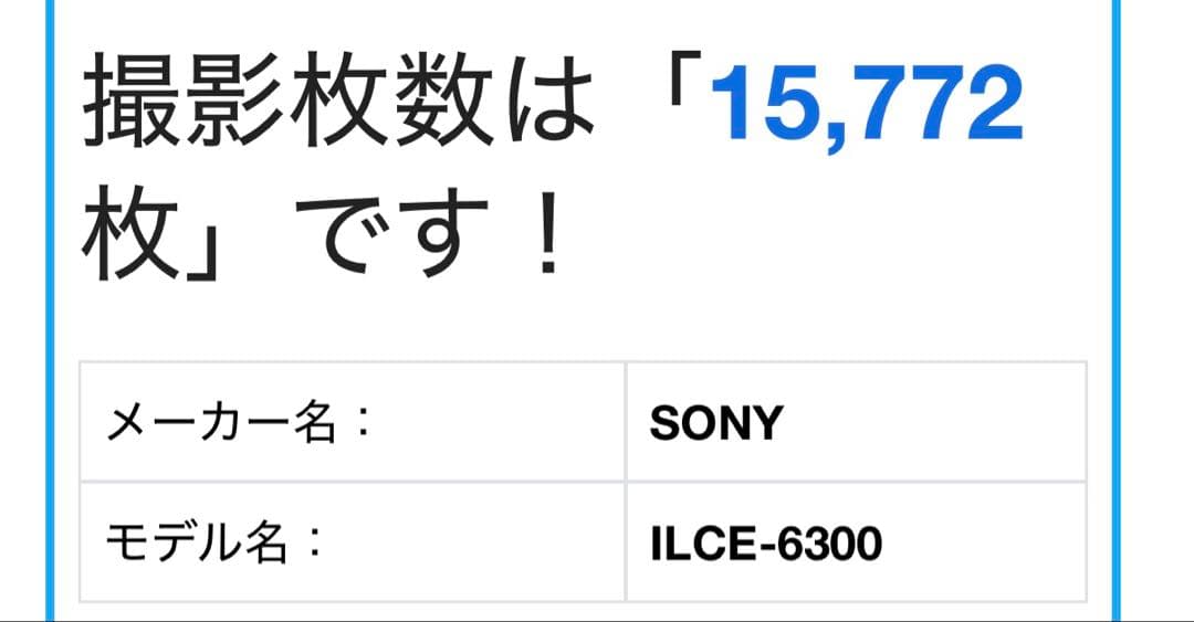 sony α6300 望遠レンズキット　おまけ付き