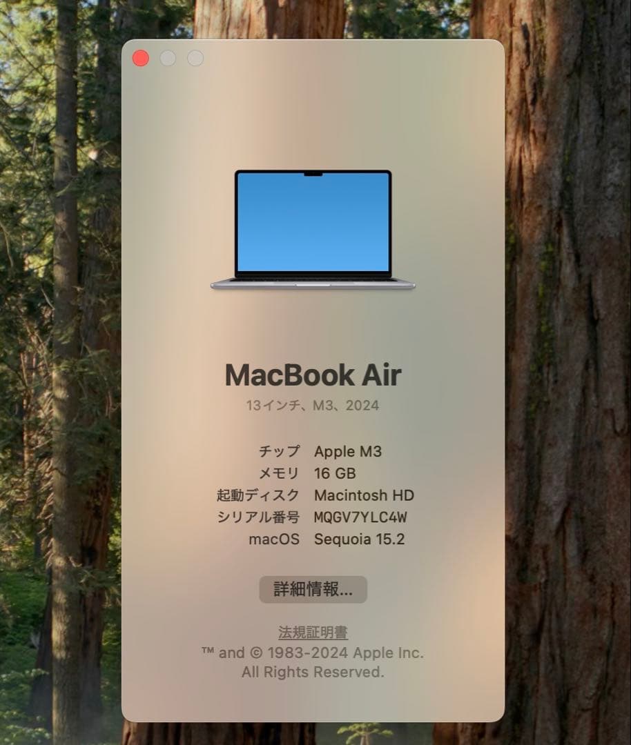MacBook本体 Apple MacBook Air (M3 2024) 16GB/256GB