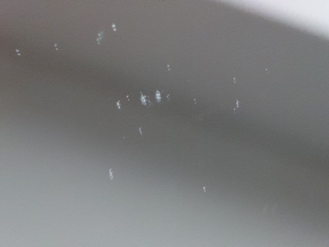 Cellularモデル iPad 第8世代 32GB Silver