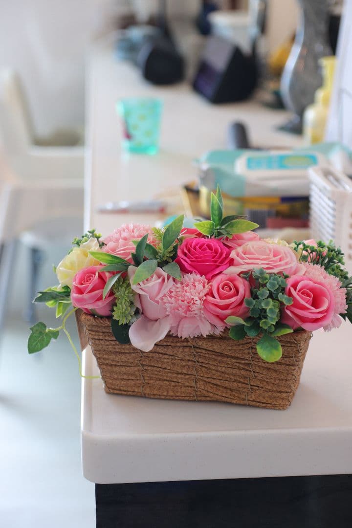 SIGMA 17-50mm F2.8 EX DC OS HSM キヤノン用