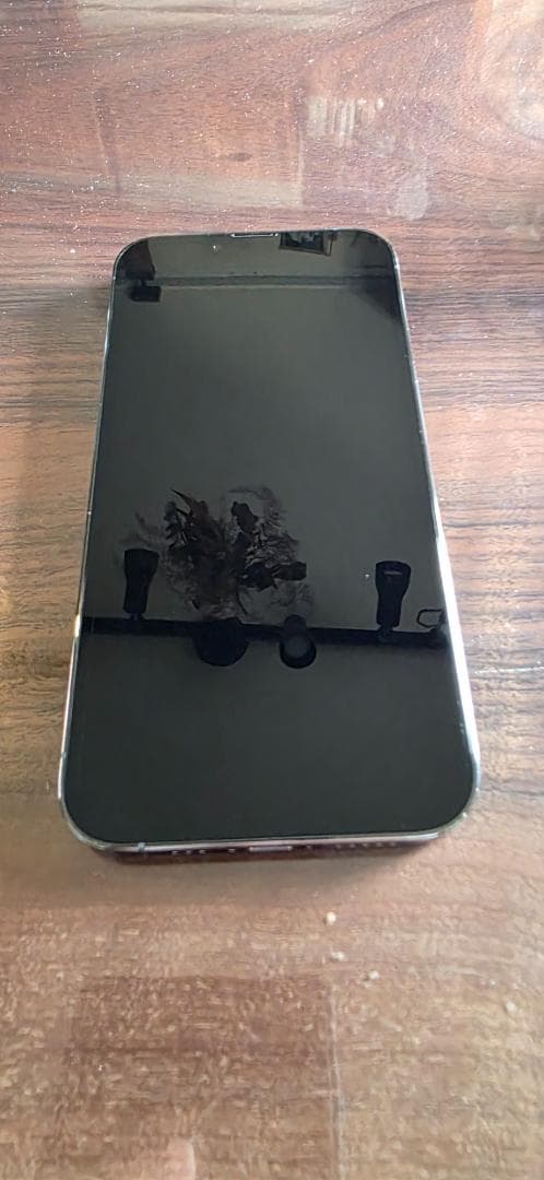 iPhone 13 Pro 256GB シエラブルー（SIMフリー）