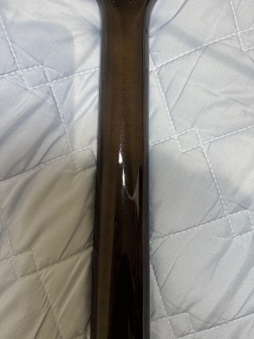 フェルナンデス　APG-100