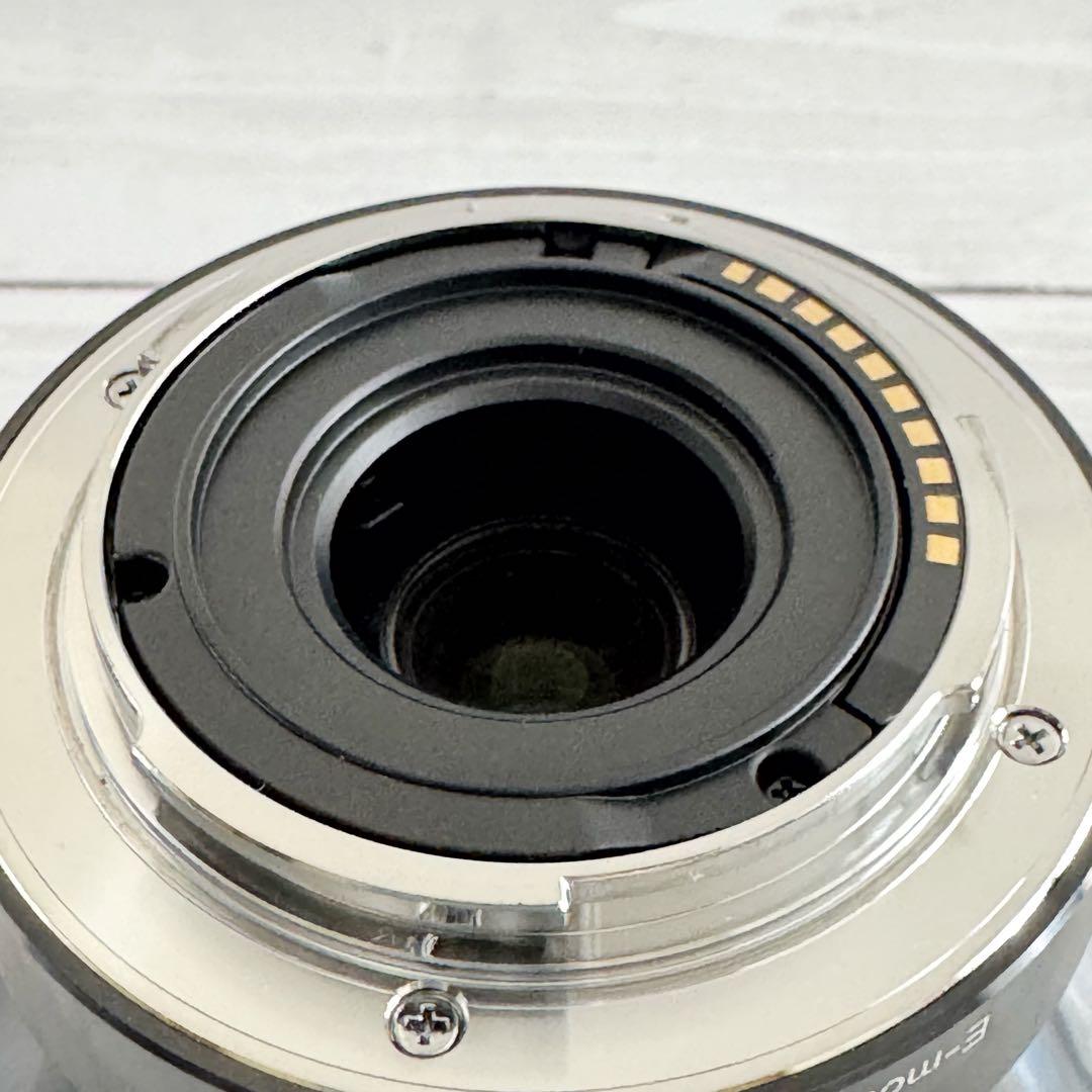 SONY E 10-18mm F4 OSS ソニー SEL1018