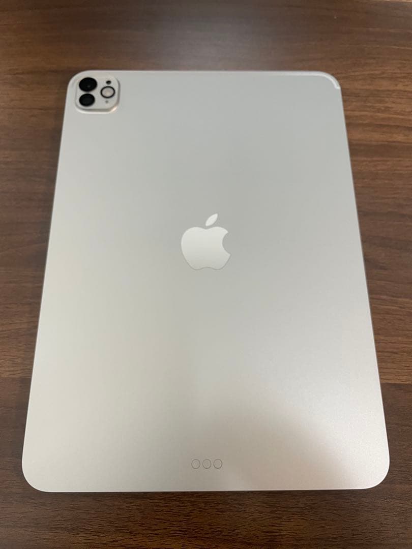 【美品】iPad Pro M5 11インチ 256GB 本体