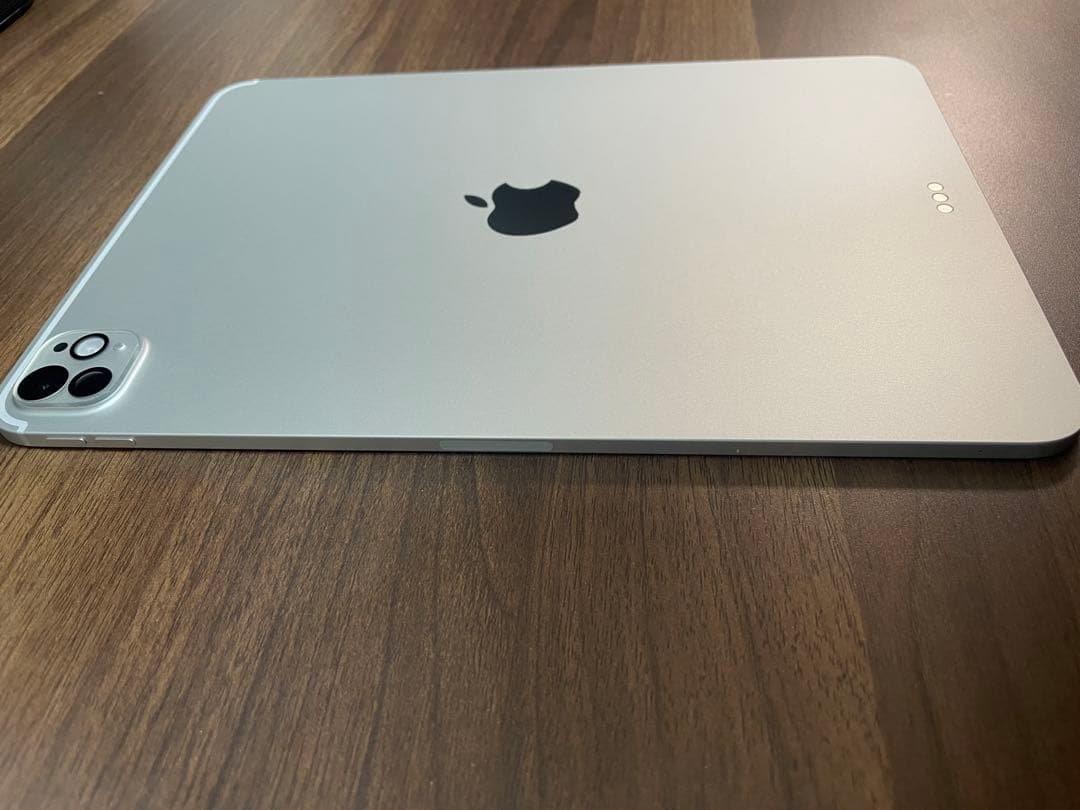 【美品】iPad Pro M5 11インチ 256GB 本体