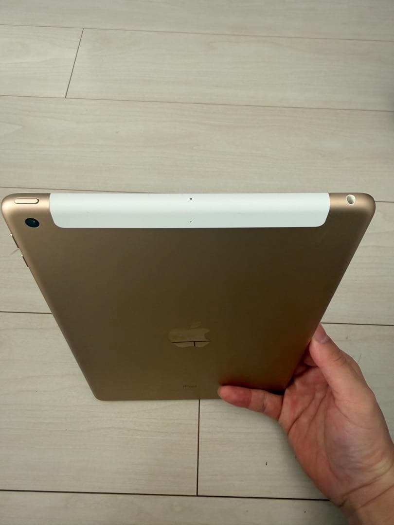 iPad 第5世代 32GB Wi-Fi+Cellular 本体