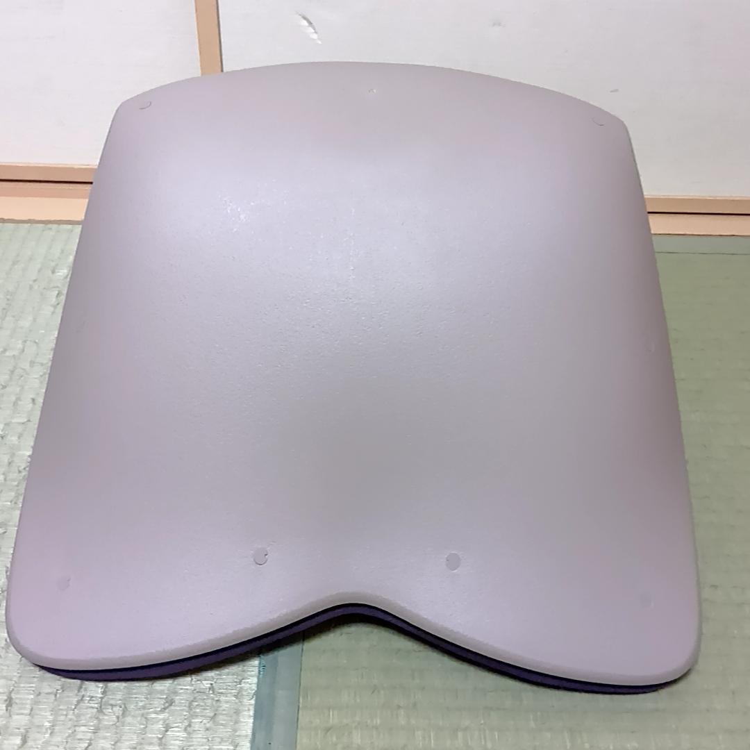 MTG Style PREMIUM スタイルプレミアム　姿勢矯正チェア　取説付き