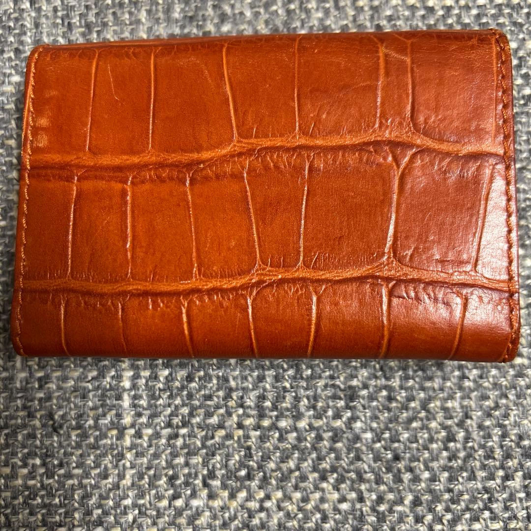 ⭐︎S.N⭐︎Felisi フェリージ クロコダイル名刺入れ