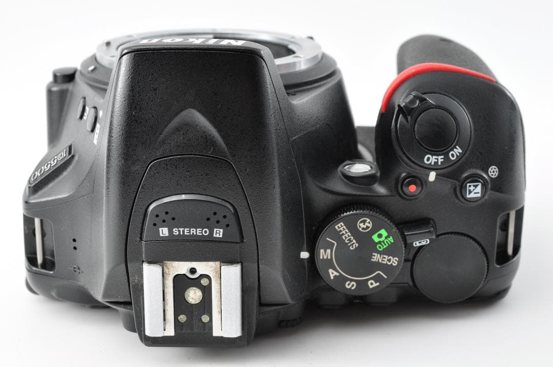 デジタルカメラ Nikon D5500 + AF-S NIKKOR 18-55mm #1327