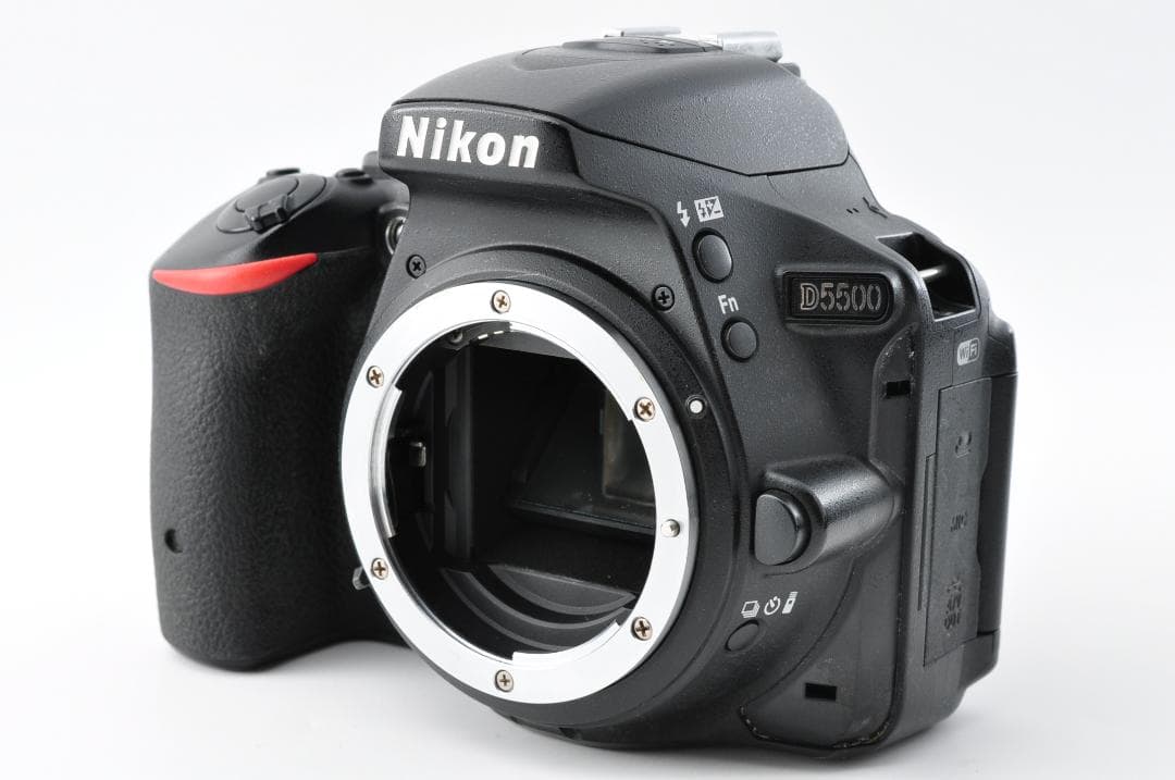 デジタルカメラ Nikon D5500 + AF-S NIKKOR 18-55mm #1327