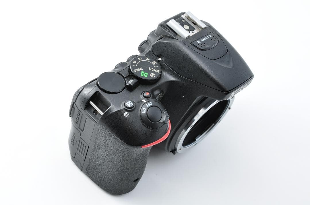 デジタルカメラ Nikon D5500 + AF-S NIKKOR 18-55mm #1327