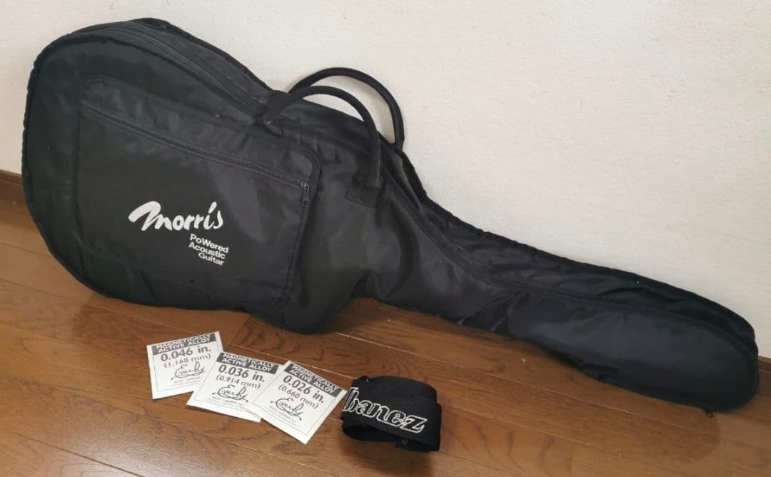 【ソフトケース付き】エレアコ morris Tornado ECLIPSE