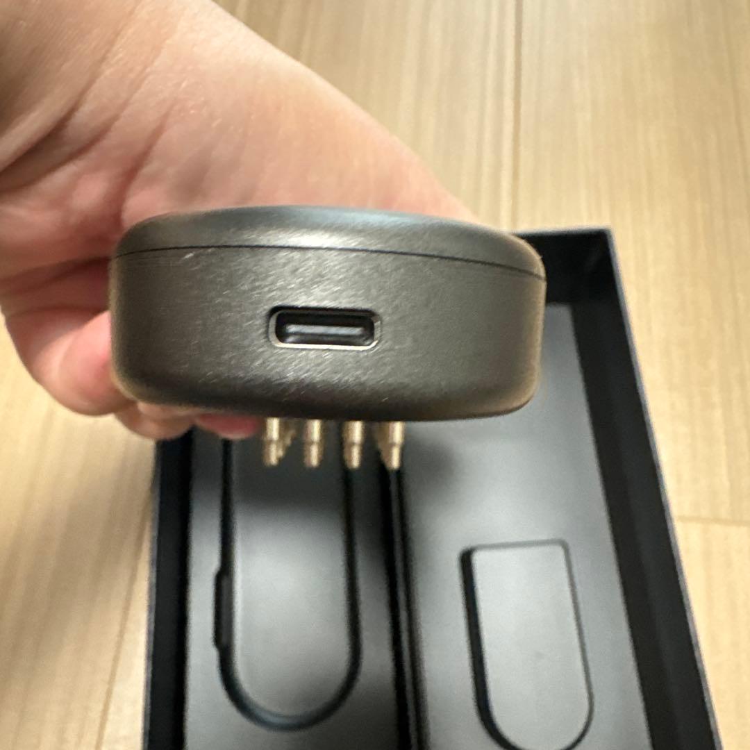 SALONIA EMSブラシ SAL24305BK