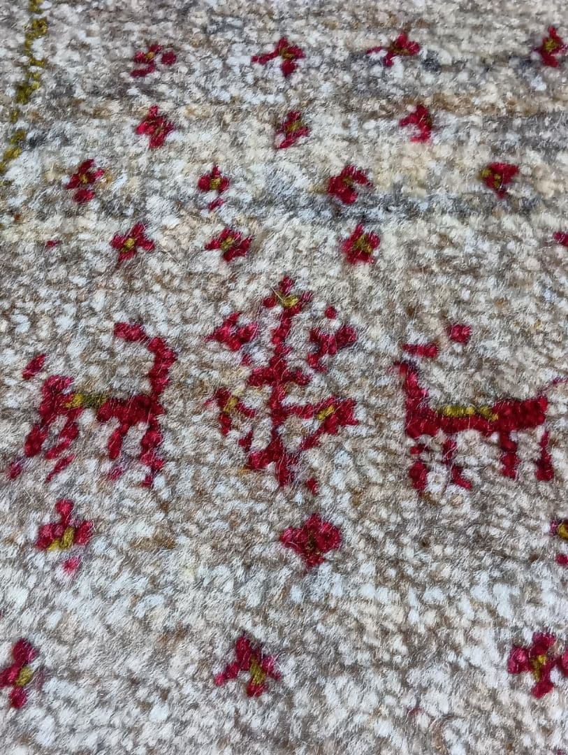 ペルシャ絨毯　ギャッベ　玄関サイズ　手織り　イラン(24)