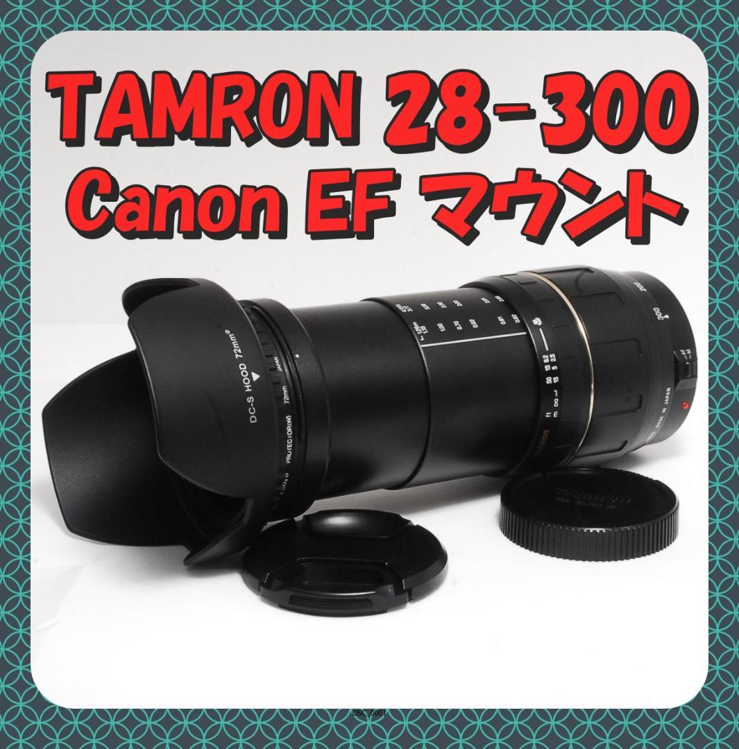 TAMRON 28-300mm EFマウント 高倍率ズーム レンズフード付