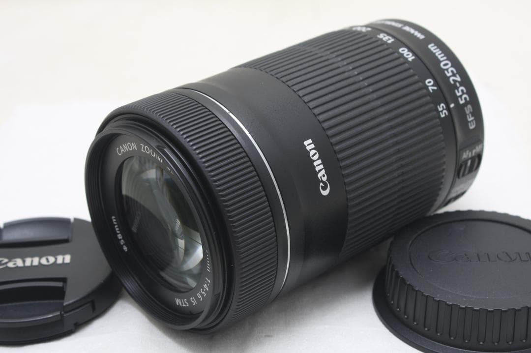 キヤノン EF-S 55-250mm F4-5.6 IS STM 4008