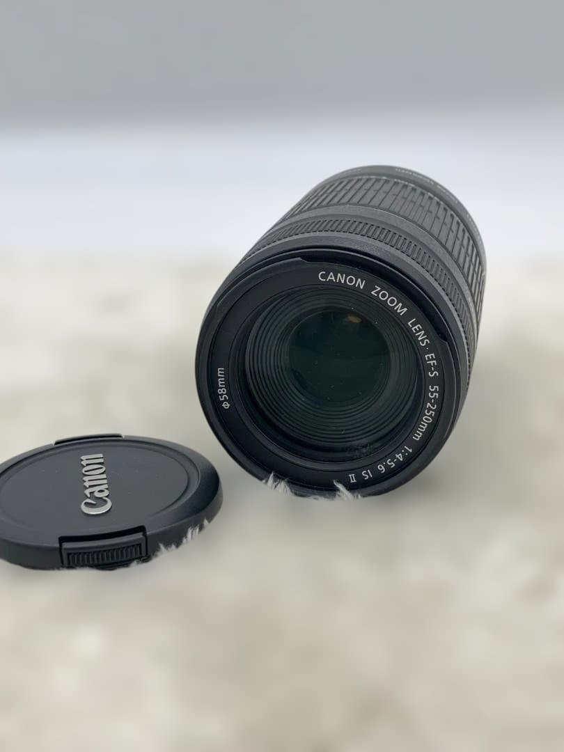 Canon EF-S55-250mm f/4-5.6 IS II 動作確認済み