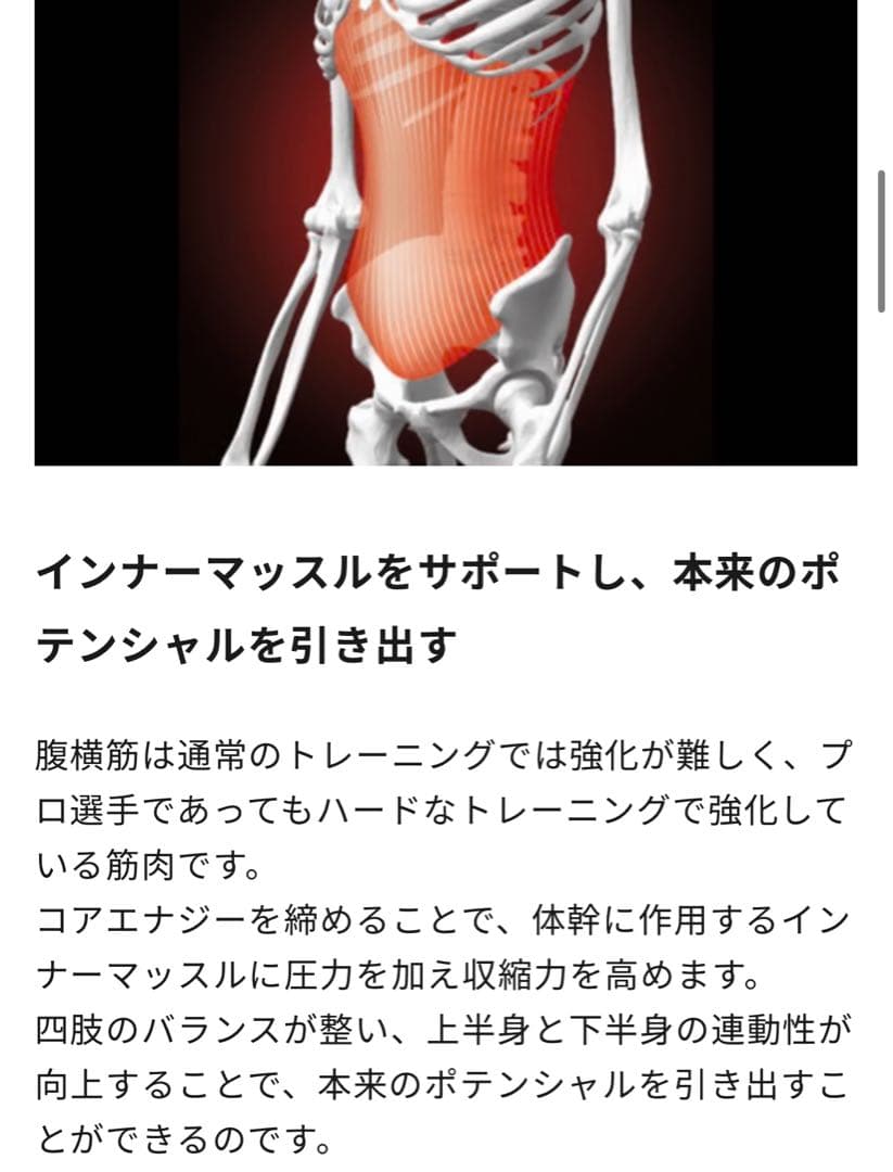 コアエナジー ビジネス＆カジュアル（ビジカジ） ベルト　茶色