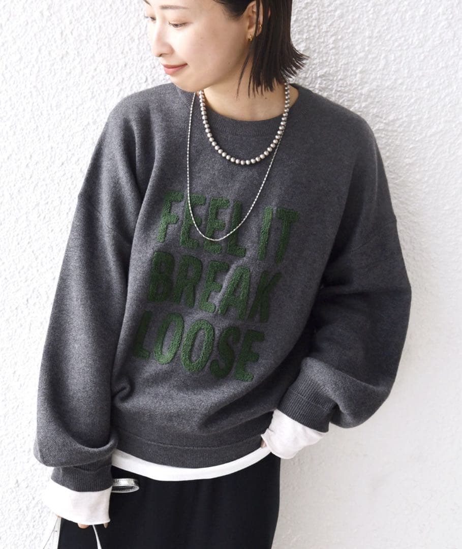 SHIPS 試着のみ　サガラ 刺繍 ロゴ ニット プルオーバー