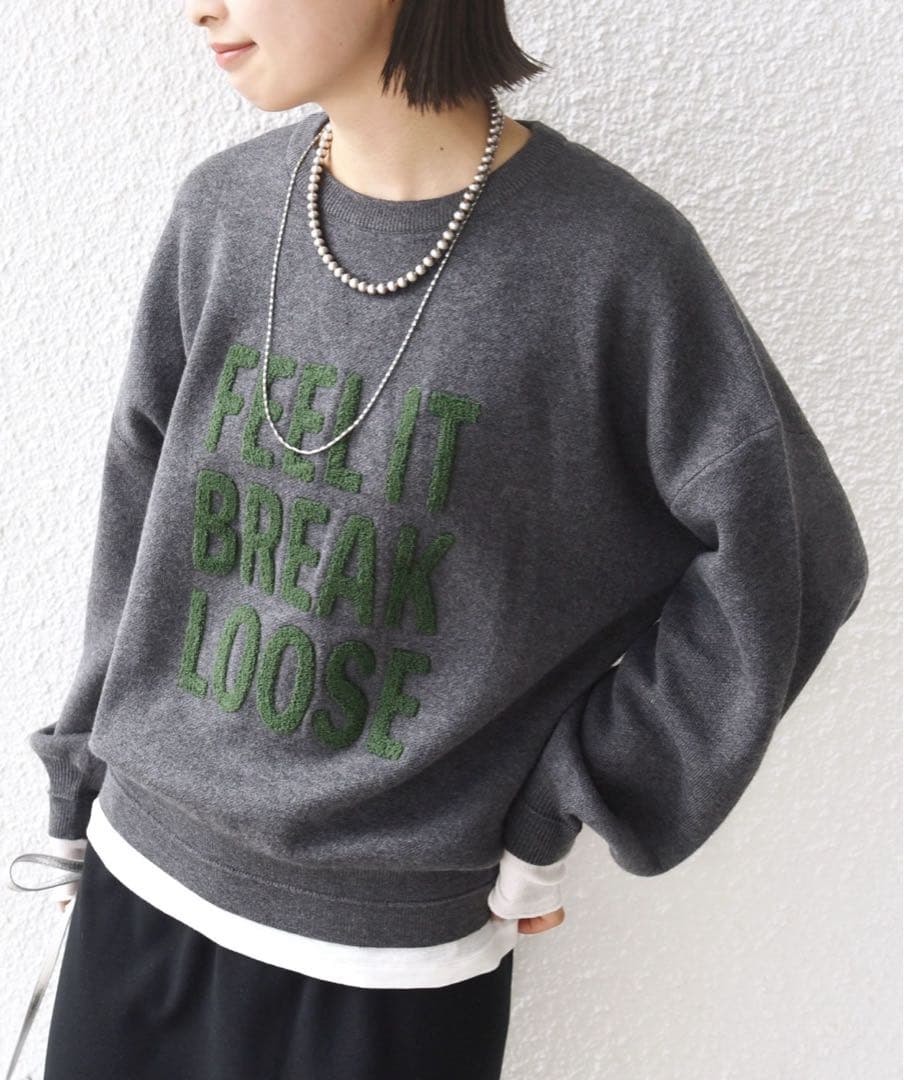 SHIPS 試着のみ　サガラ 刺繍 ロゴ ニット プルオーバー