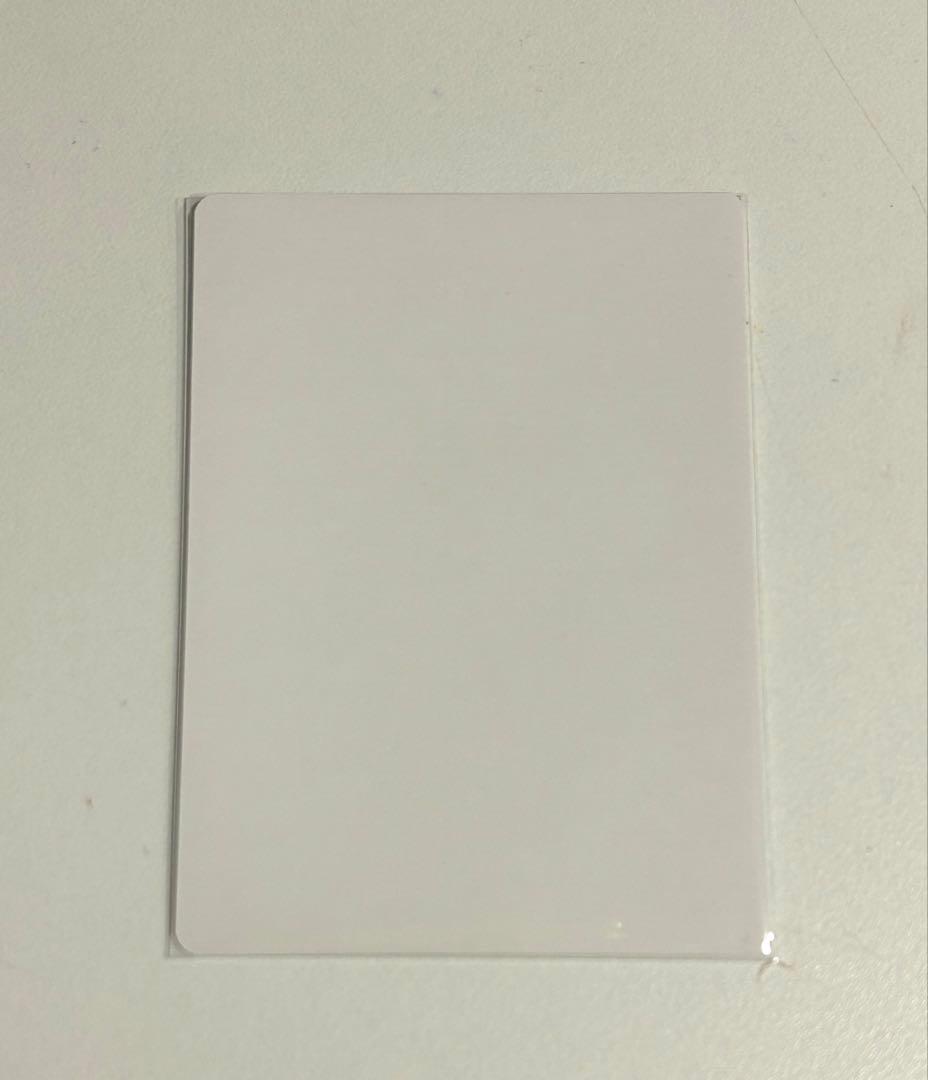 チェンソーマン 早川アキ 公安対魔特異4課 手帳風パスケース　ブロマイド