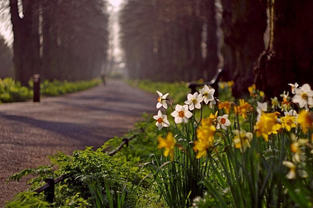 78【希少】初期型　Helios1950年製造　ヘリオス44　アダプター付