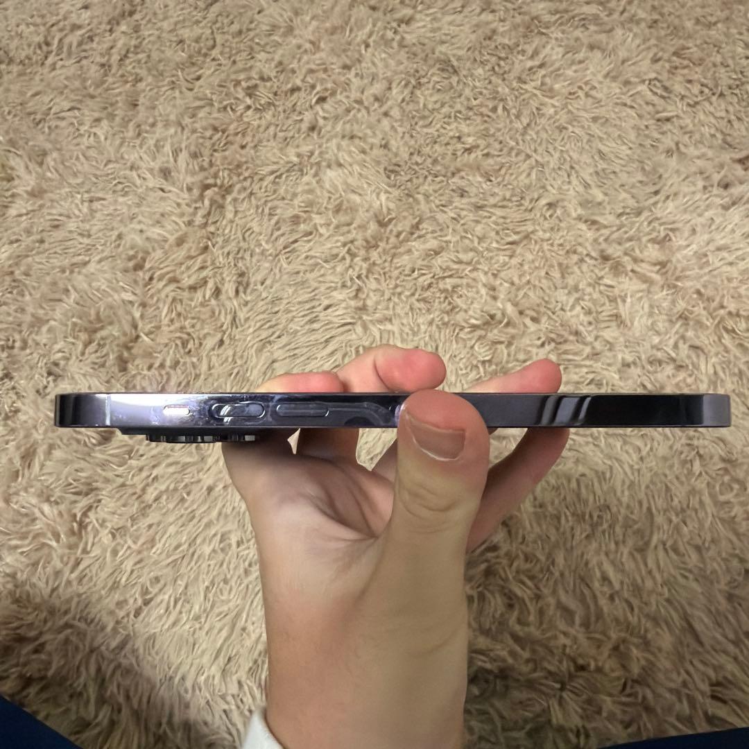 iPhone 14 ProMax 256GB SIMフリー 即日発送［美品］