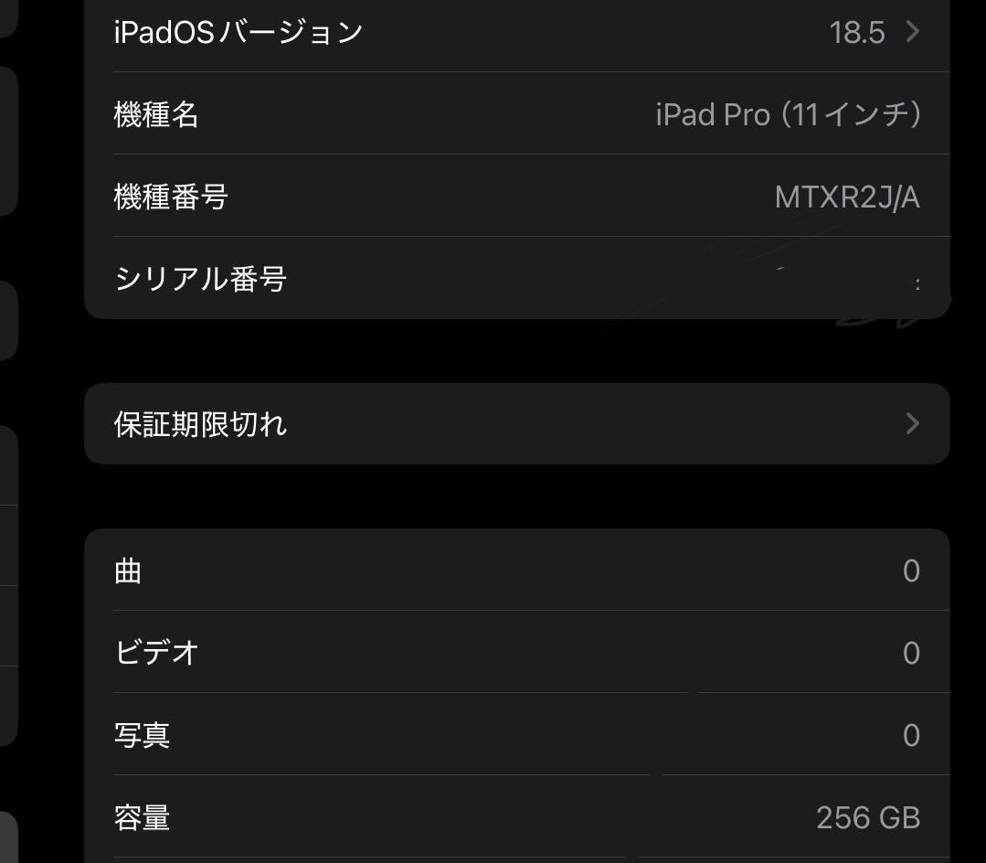 【不良品】iPad Pro 11インチ シルバー