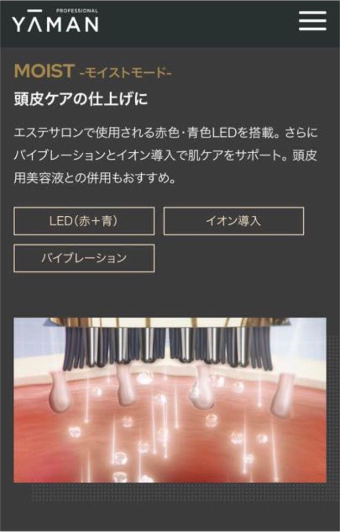 YA-MAN ヴェーダスカルプブラシ