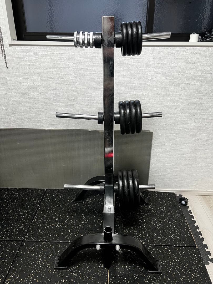 群馬県からホームジム一式 まとめ売り IROTEC可変式ダンベル＋プレートツリー