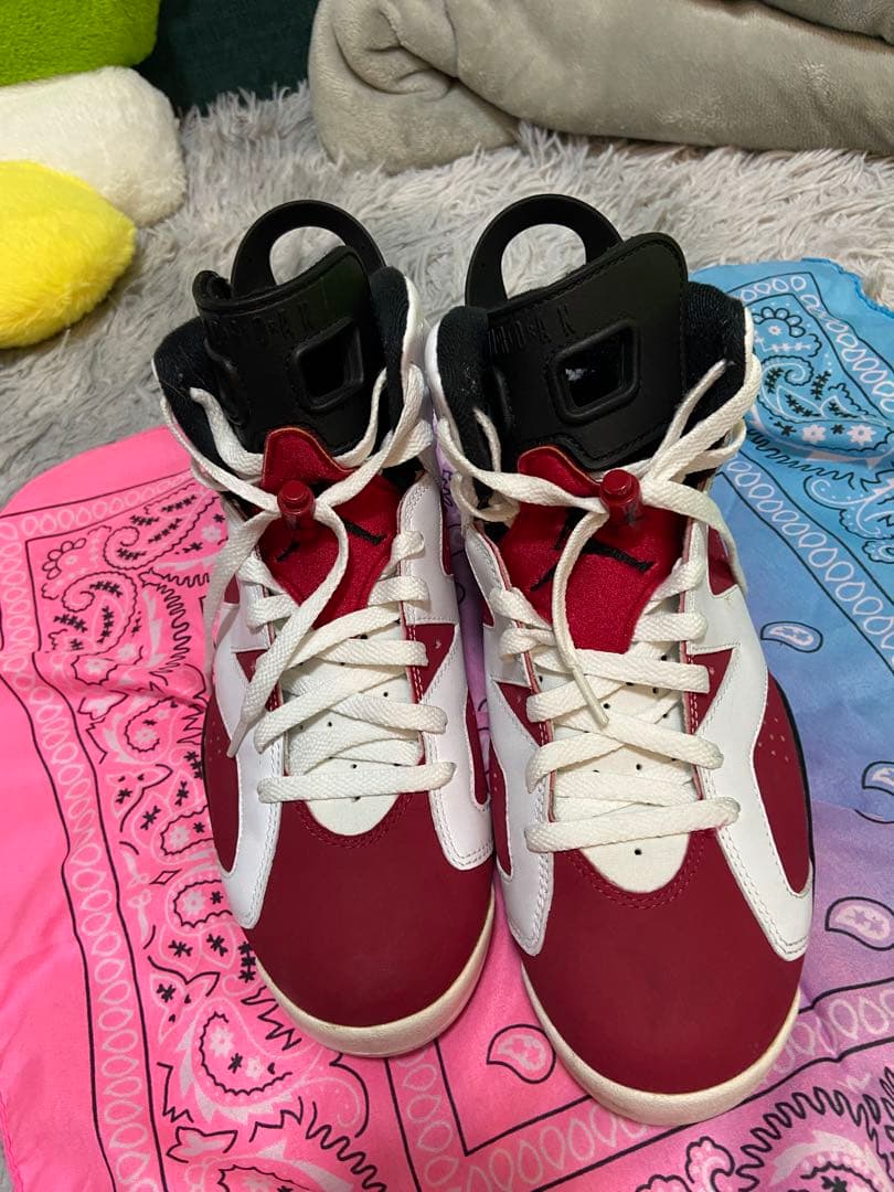 m*5様 NIKEAIR JORDAN 6 Carmine カーマイン 27.5