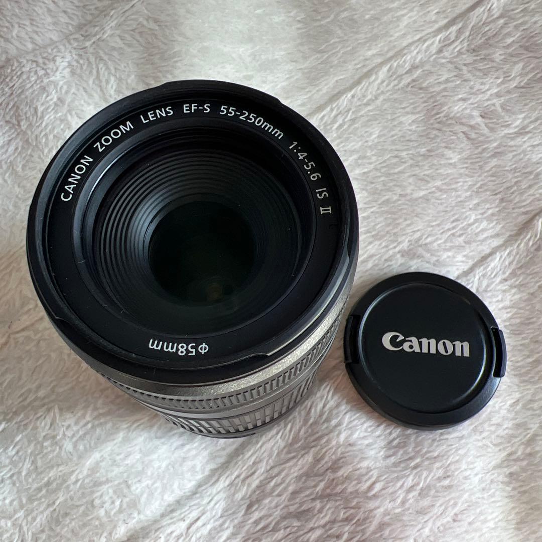 Canon EF-S 55-250mm レンズ