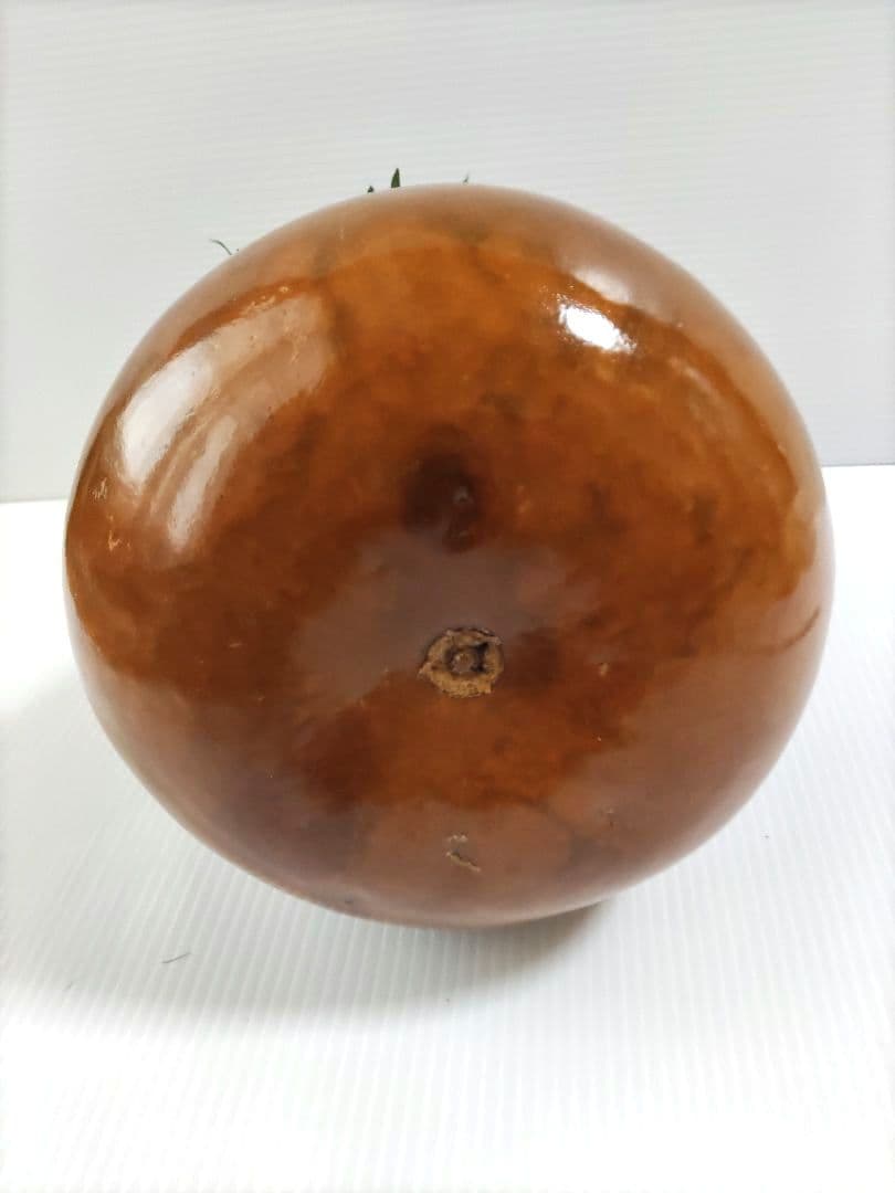 イプ「Mサイズ」✤フラ楽器