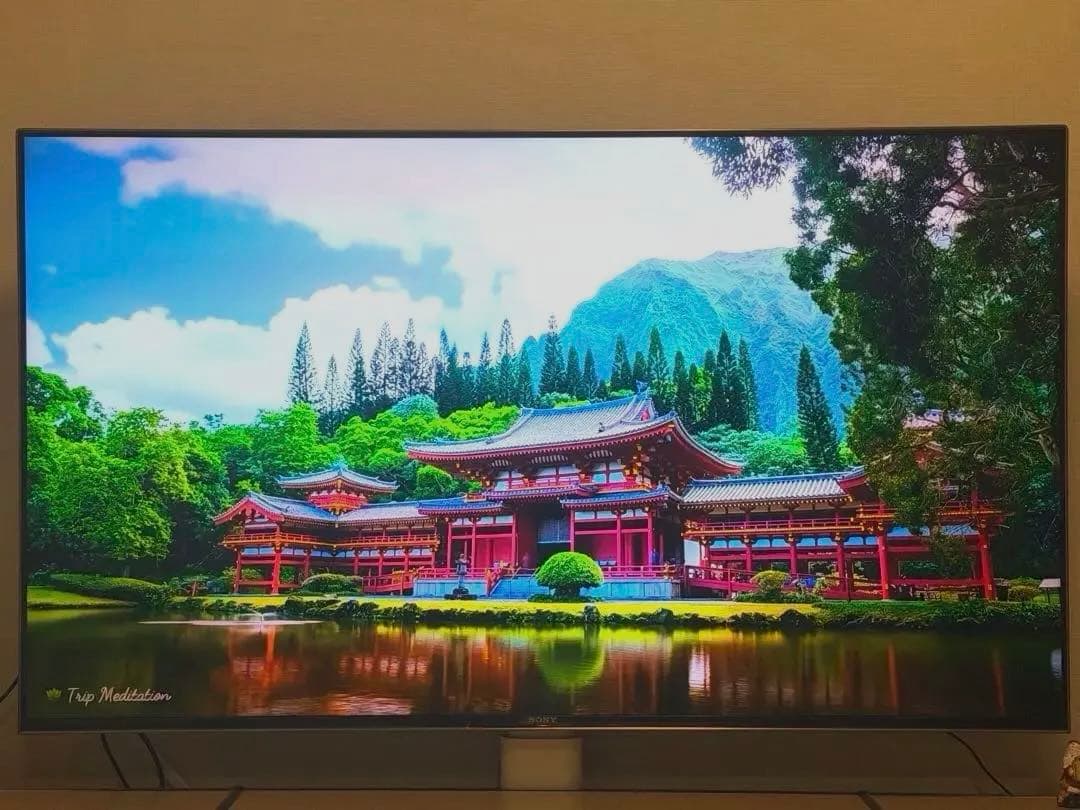 【12/16迄値下げ！】BRAVIA KJ-55X9500H 55インチ 本体